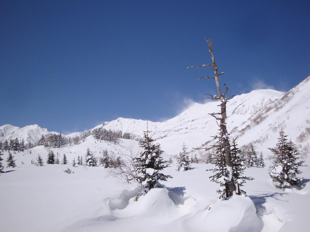 Hotel La Montagne Furuhata Hakuba Dış mekan fotoğraf